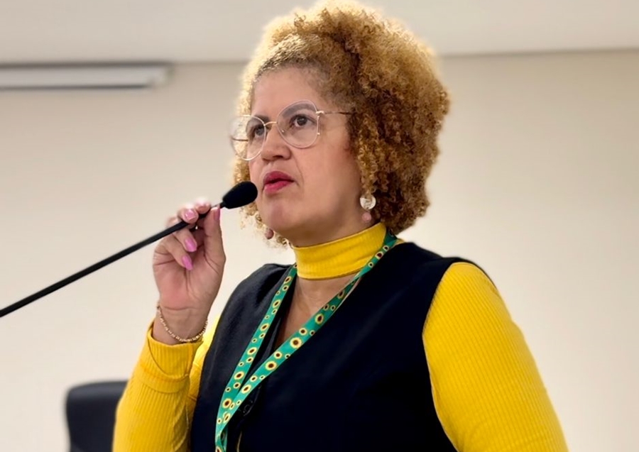 CORDÃO DE GIRASOL: Votação de lei causa conflito entre vereadores de Jaru