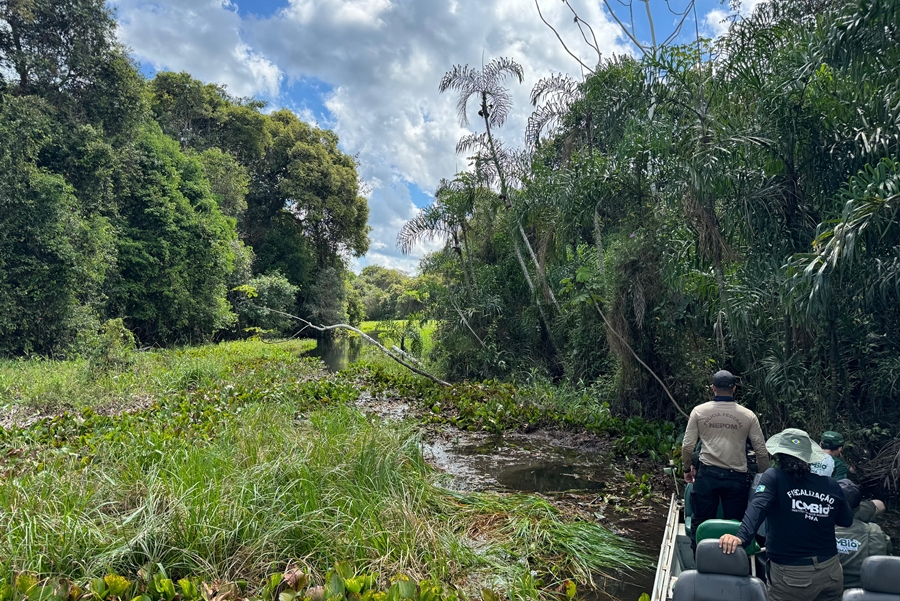 YAPO: PF e ICMBio fazem operação contra crime ambientais em Reserva Extrativista