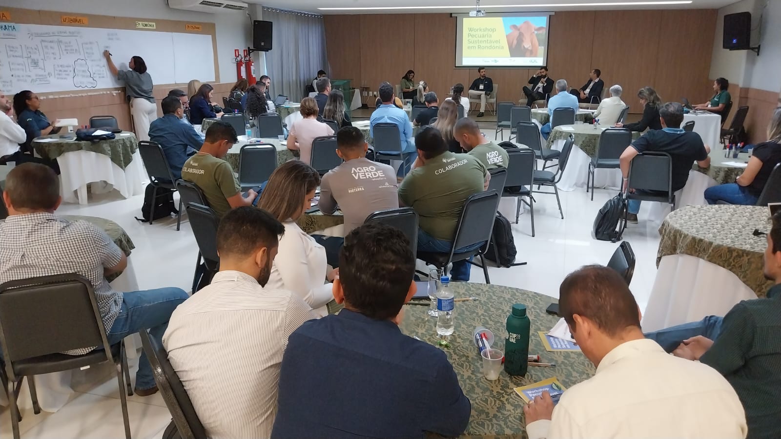 BAIXAS EMISSÕES: Workshop discute modelos de pecuária sustentável em Rondônia