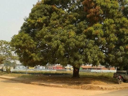 NA PRAÇA: Assaltantes que chegam dizendo que vítimas são de facção atacam novamente 