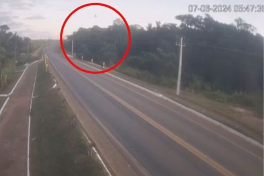 VÍDEO: Veja momento em que avião cai em fazenda; dois morreram