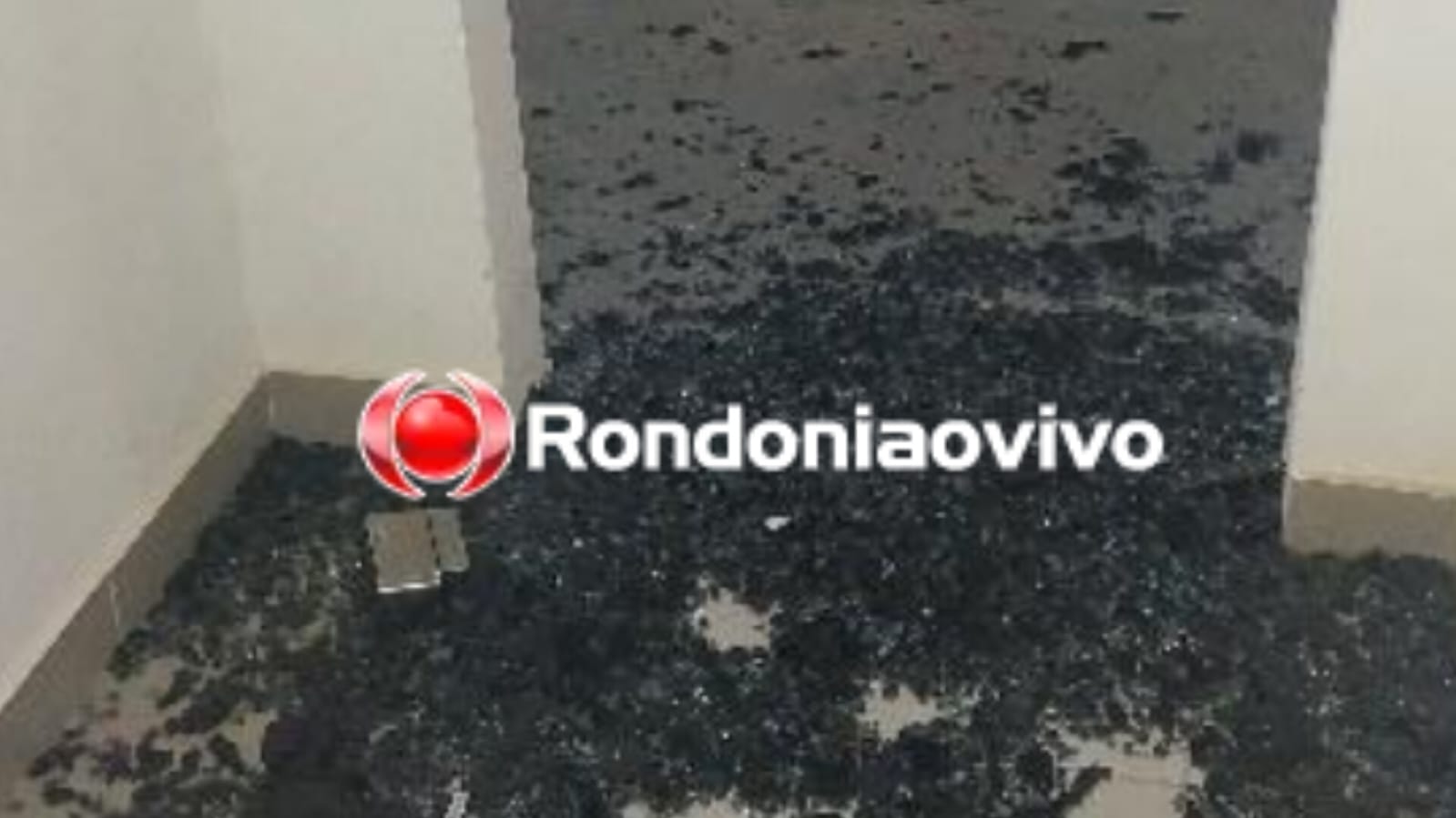 NÃO ESCAPOU: Acusado de furto em empresa é preso em flagrante após alarme disparar 