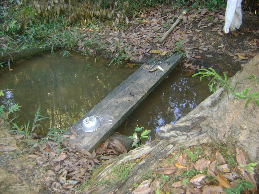 Peculiaridades do mundo ribeirinho – por Marquelino Santana