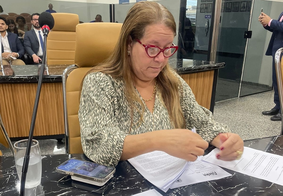 ELLIS REGINA: Projeto de Lei de vereadora cria feriado no Dia da Consciência Negra