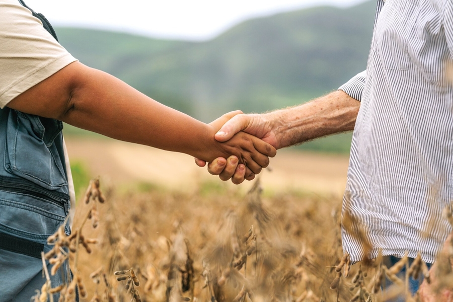 INVESTIMENTO: Para associados do Sicredi, LCA é uma alternativa segura e rentável