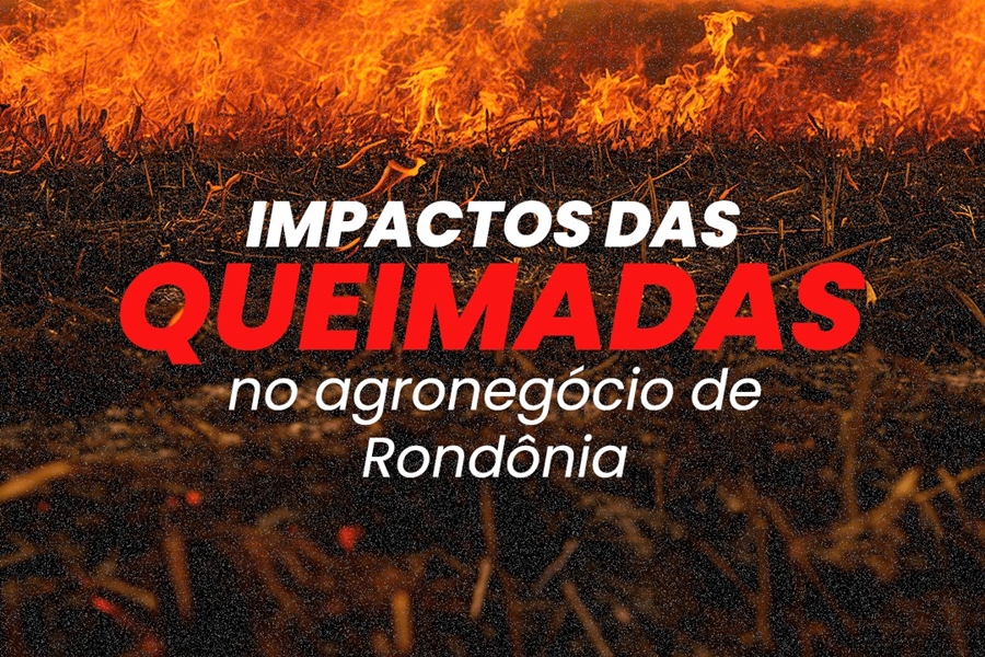 PERDAS: Faperon e Produtores Rurais destacam os impactos das queimadas
