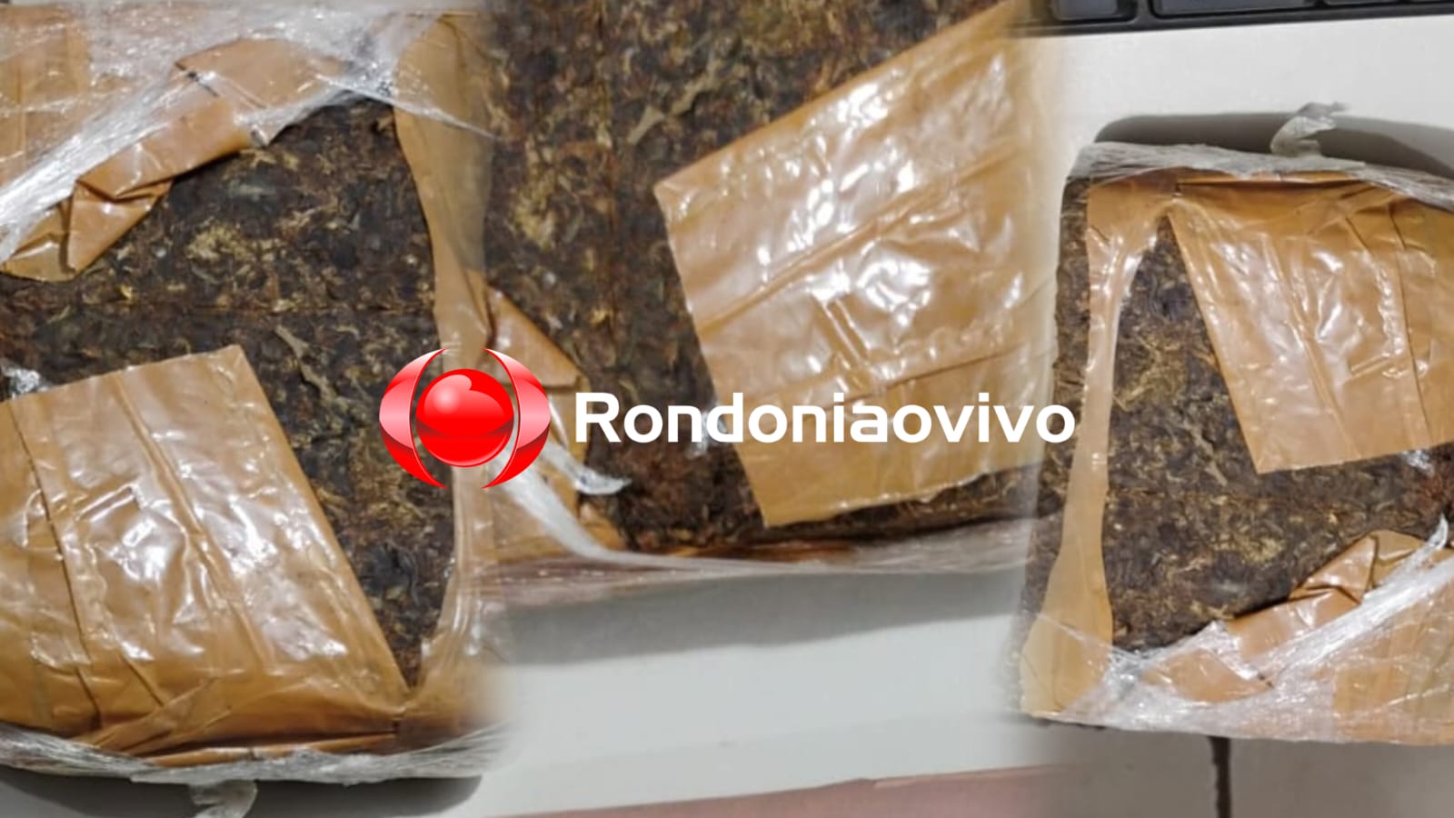 'SÓ PRA CONSUMO': Casal é preso com meio quilo de droga na BR-364