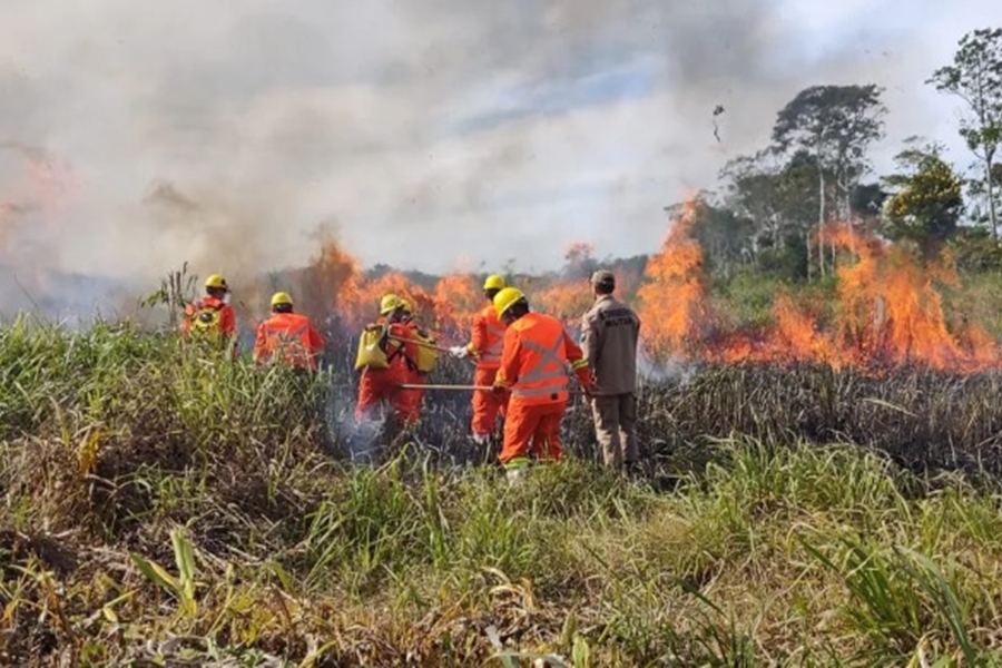 ACRE: Seleção aberta para brigadistas comunitários com 100 vagas