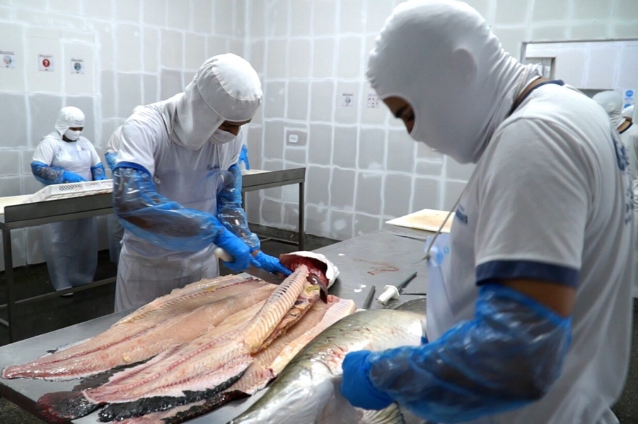 PRODUÇÃO SUSTENTÁVEL: Rondônia avança com certificação Sisbi para indústria de pescados