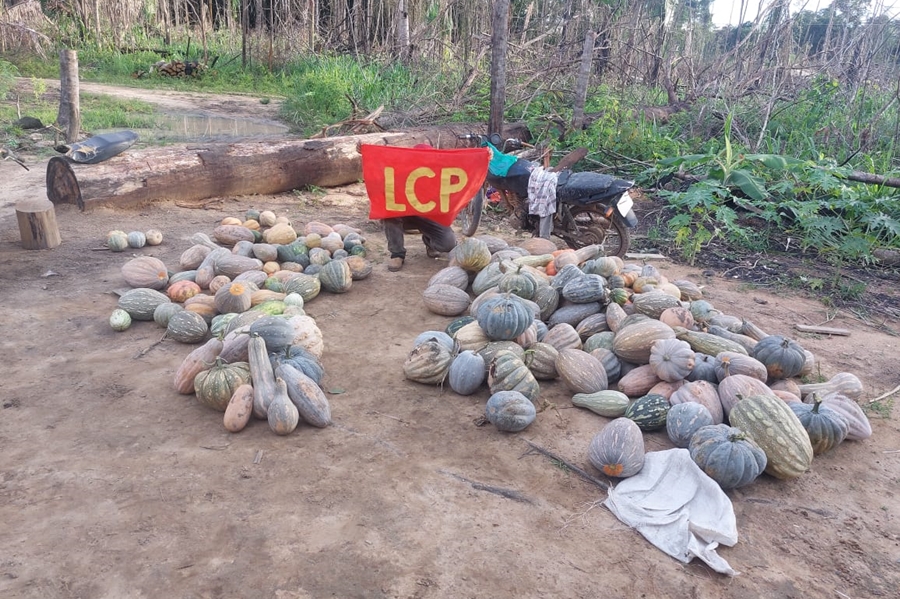 CONFLITO AGRÁRIO: Acampamento de sem terra é atacado por pistoleiros em RO