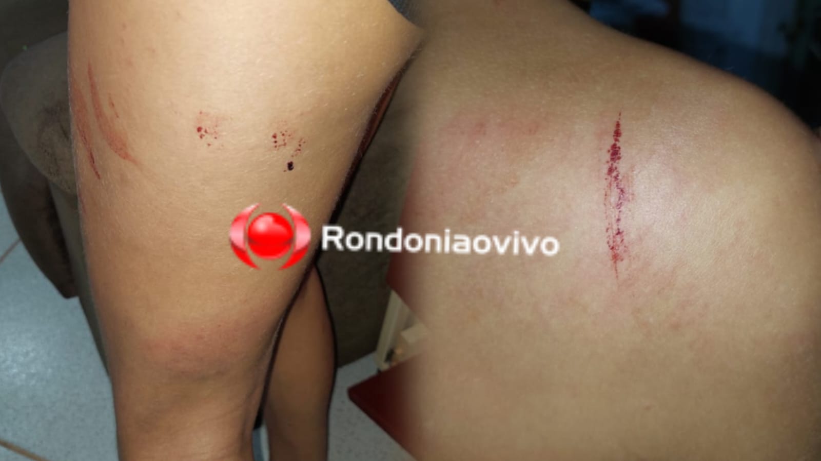 EMBRIAGADO: Apenado é preso após agredir esposa a pauladas para continuar a beber 