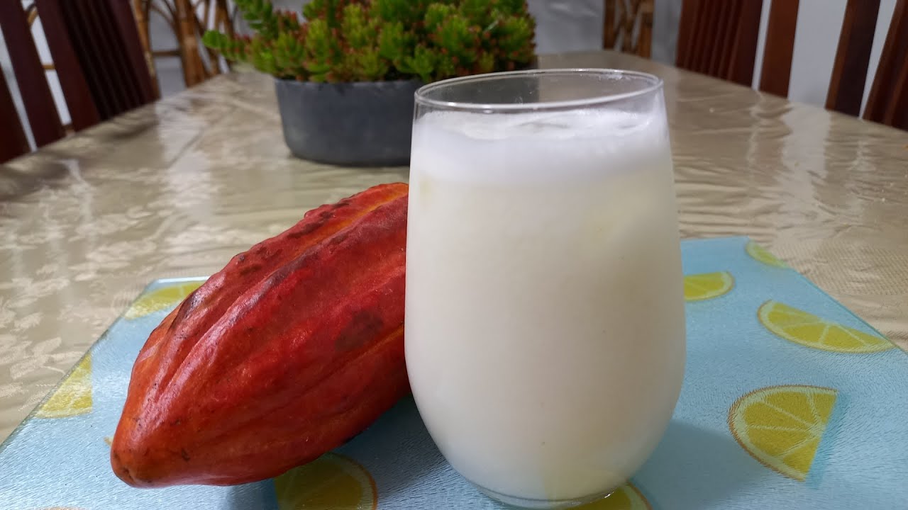 FRUTO DA AMAZÔNIA: Suco de cacau é ótima companhia para o lanche 