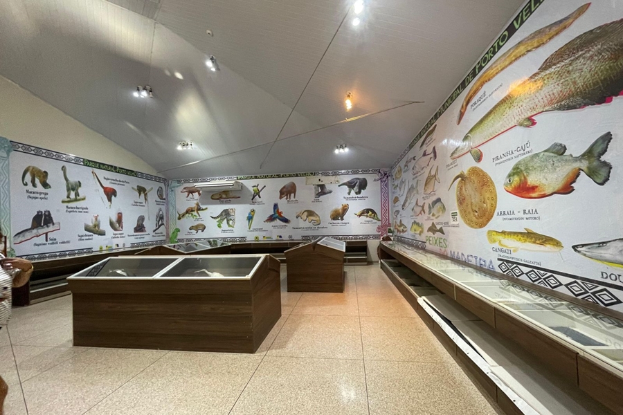 PARQUE NATURAL: Museu encanta visitantes com mais de 150 espécies da fauna amazônica