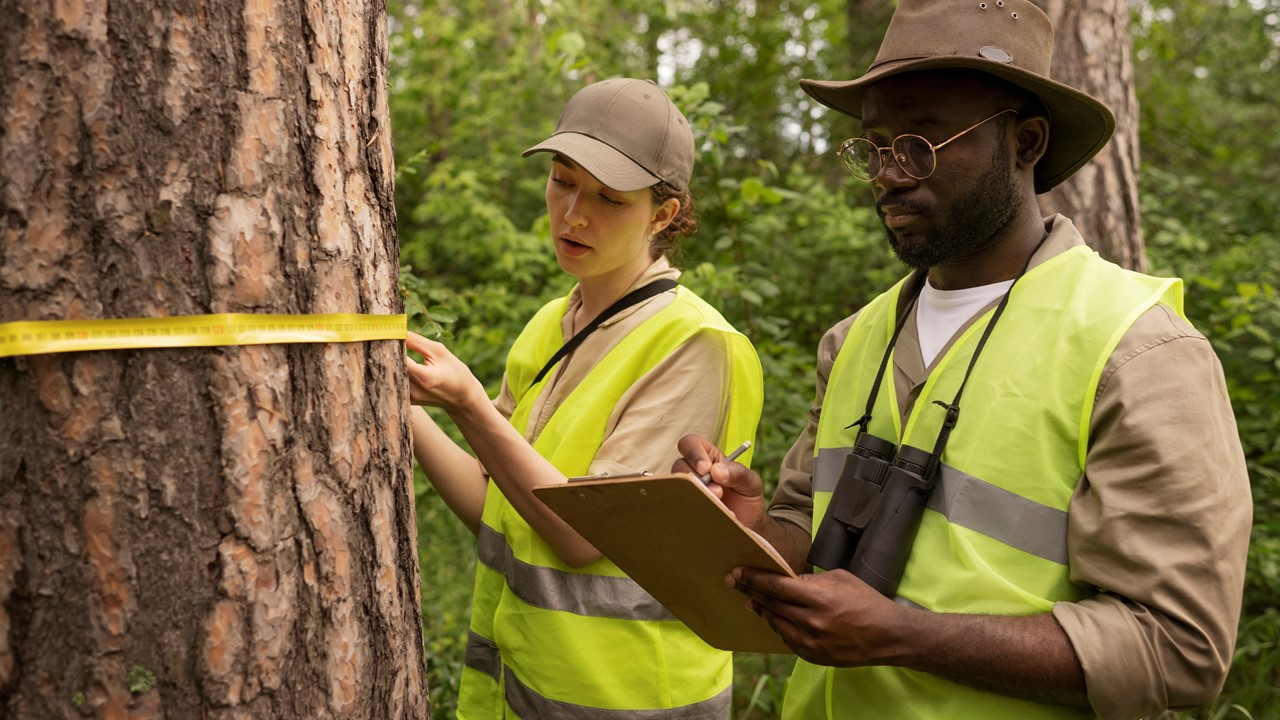 PENTE FINO: Governo federal vai inspecionar 31 mil propriedades na Amazônia  