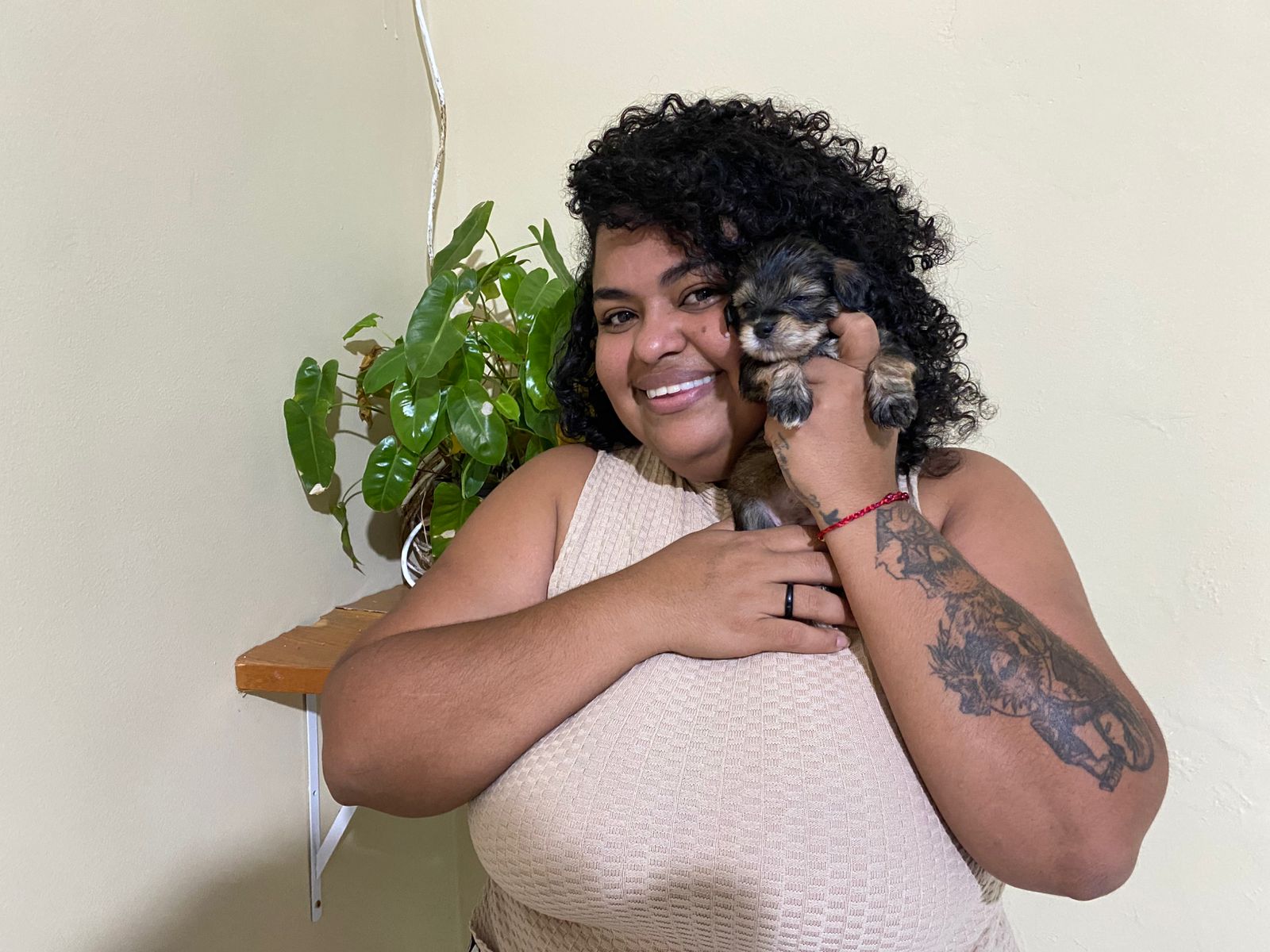 CAUSA ANIMAL: Cresce número de adoções mas abandono preocupa e Sema mobiliza ações