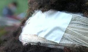 'TÁ COM O COROA'?:  Mulher é surrada pelo namorado após mensagem da mãe 