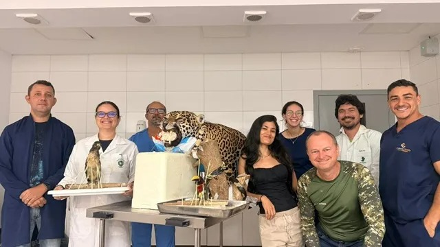EDUCAÇÃO AMBIENTAL: Policiais do Pelotão Ambiental de Vilhena participam de curso de taxidermia
