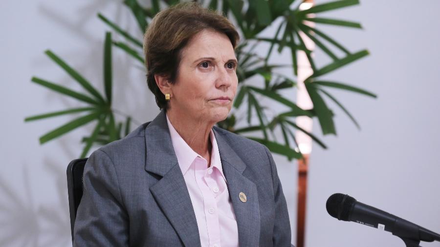 EVENTO EM VILHENA: Ex-ministra Tereza Cristina se reúne com o agro a convite de Sílvia Cristina