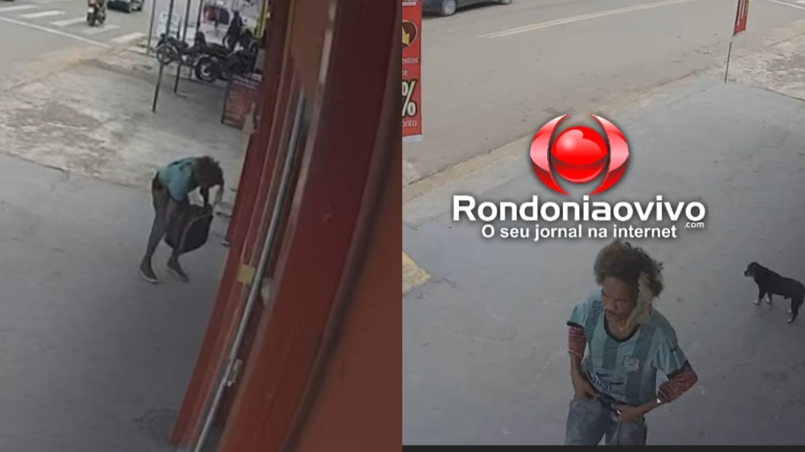 VÍDEO: Homem é filmado abandonando filhote com boca amarrada dentro de mala
