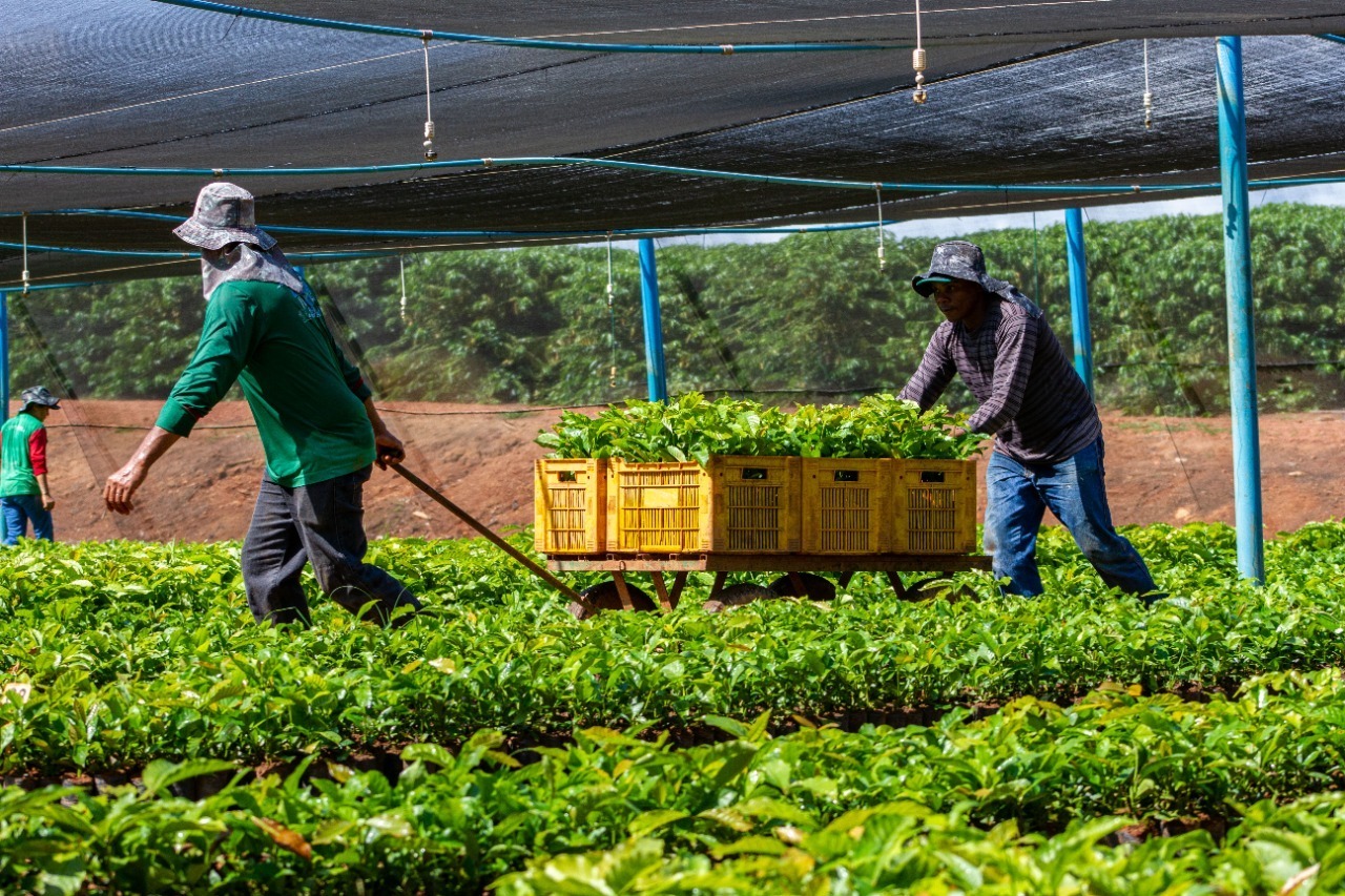  ALAN QUEIROZ : Deputado destina R$ 50 mil para fortalecer produção rural 