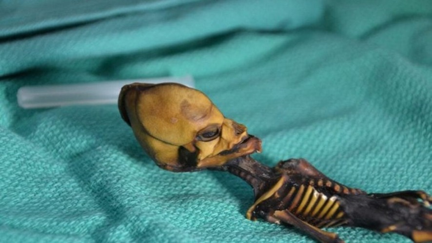 EXTRATERRESTRE: Esqueleto de 'alien' é achado em deserto e revela fato curioso