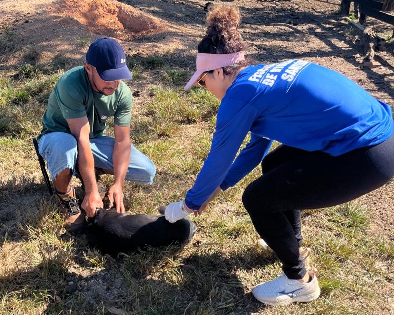 VILHENA: Vacinação antirrábica chega à zona rural e pretende imunizar 6 mil animais