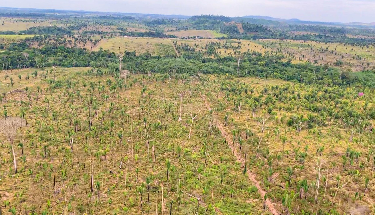 CRIME AMBIENTAL: MPRO ajuíza ação civil pública por desmatamento ilegal em Machadinho do Oeste