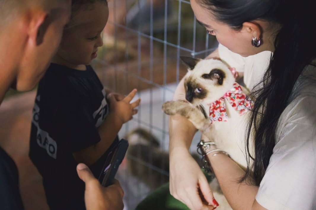 EMPREENDEDORISMO: 2ªEdição do Empreende Pet movimenta PVH com adoção responsável e cultura