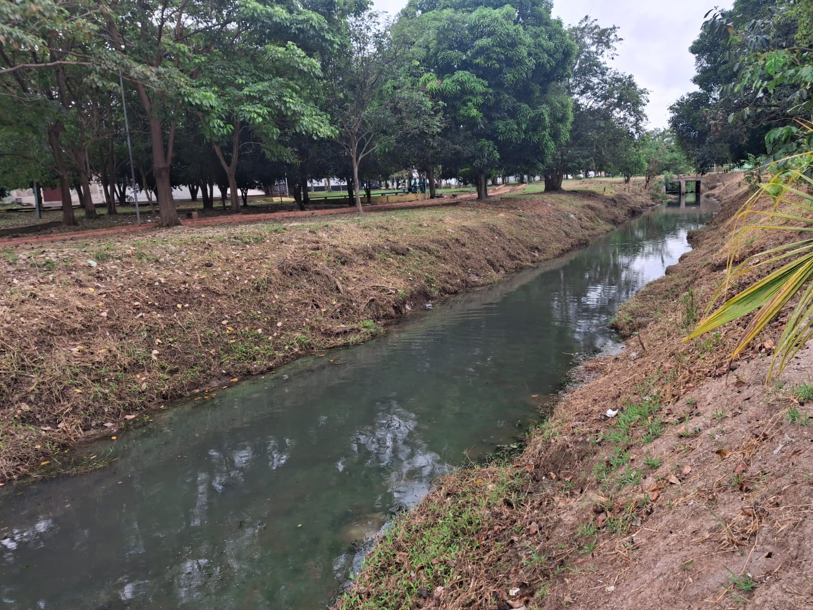 JÚNIOR QUEIROZ: Prefeitura realiza limpeza de canal após pedido de providência do vereador
