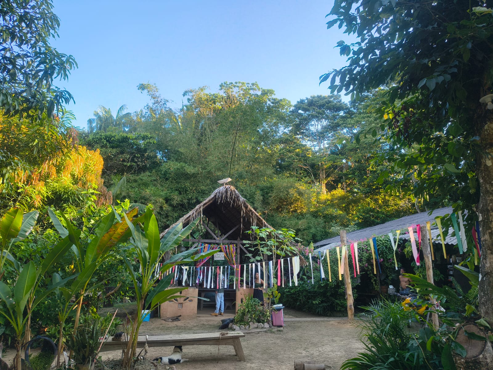 EM PORTO VELHO: Feira Sustentável Agrotropical reúne produtores, artesãos e atrações culturais 