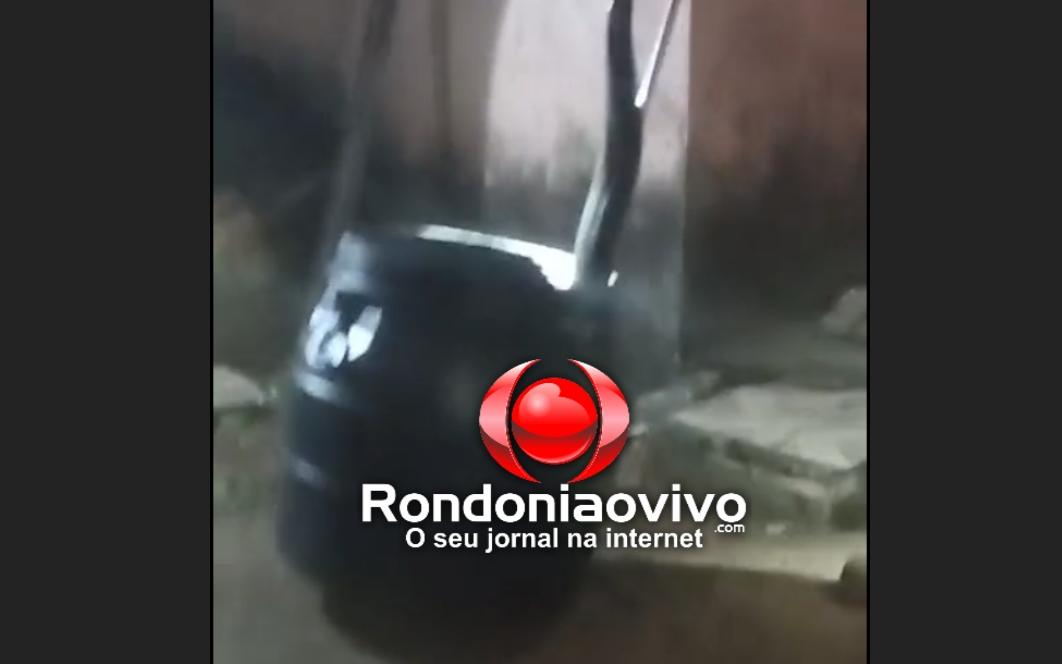 VÍDEO: Cobra sucuri é encontrada dentro de tubulação de caixa de gordura em casa