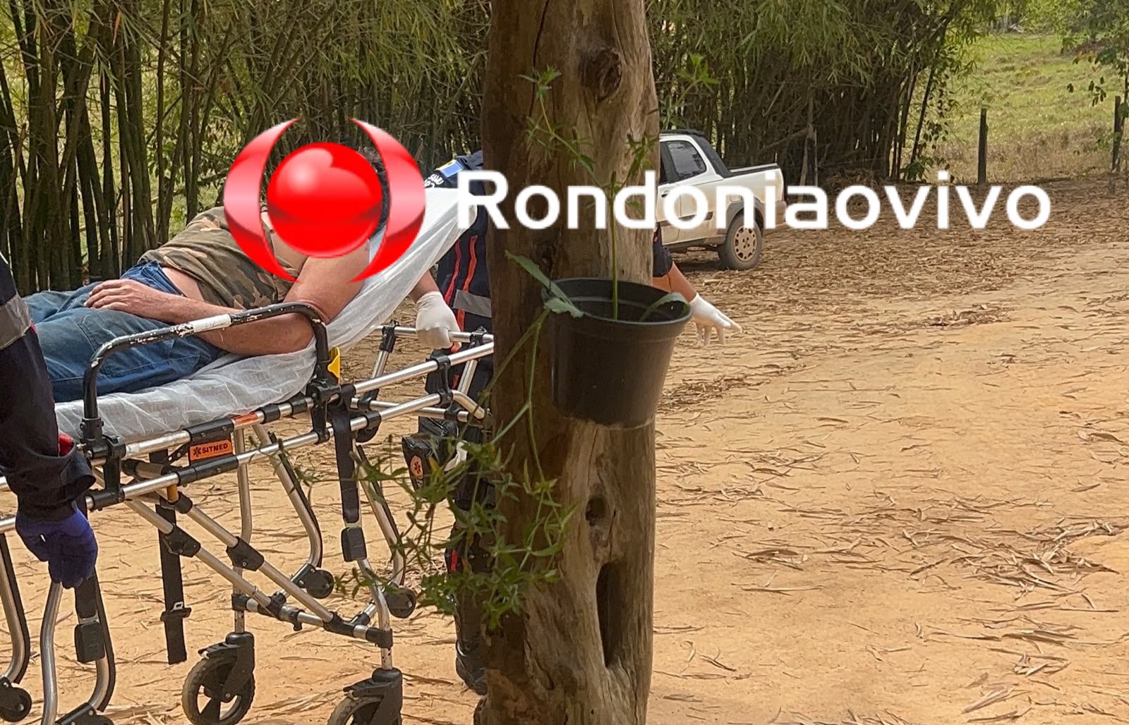 VÍDEO: Homem sobrevive a ataque de onça após égua ser morta