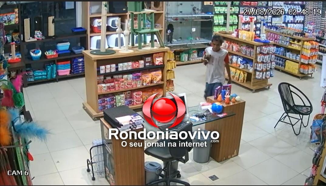 VÍDEO: Ladrão invade pet shop e furta gato e cachorrinho na Calama