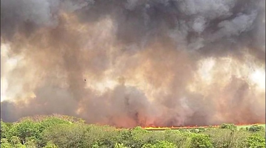 PERIGO DE FOGO: Fenômeno do ‘quatro-trinta’ aumenta risco de incêndios rurais 