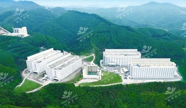 INOVAÇÃO: China cria suínos em prédios de até 26 andares e revoluciona a produção  