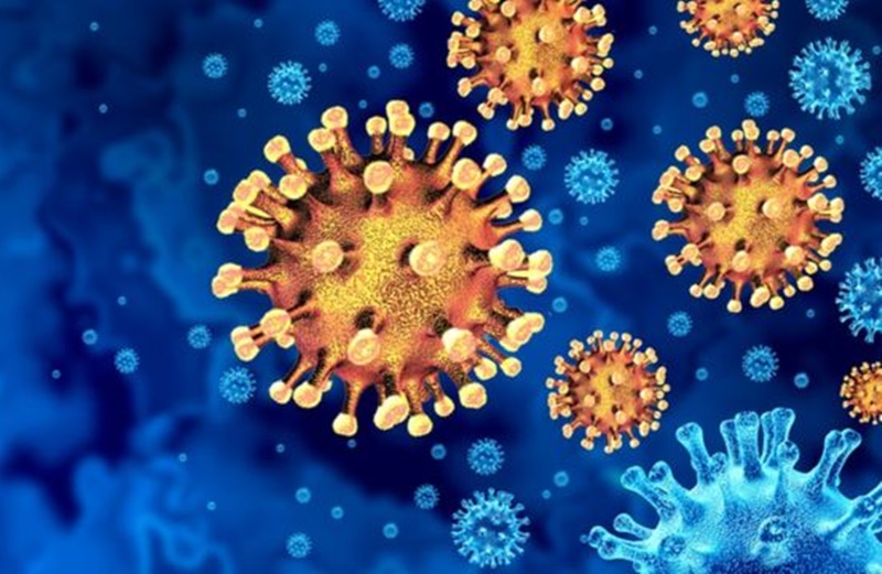 CORONAVÍRUS: Rondônia registra 35 casos e uma morte na última segunda-feira (9)