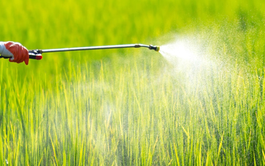 BIOLÓGICOS: Governo Federal registra 50 novos defensivos agrícolas