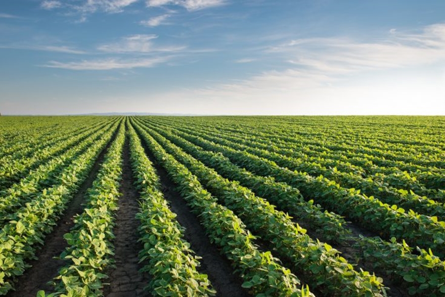 CARTA ABERTA: Solicitação para prevenção e repressão de invasões de propriedades rurais