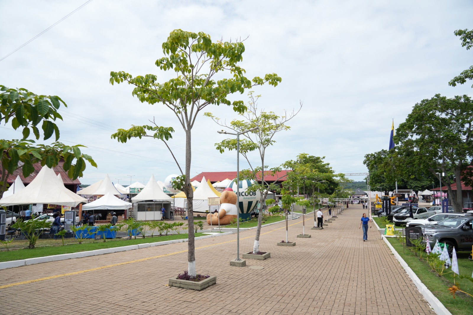 AGRONEGÓCIO: Agrotec 2025 impulsiona cadeias produtivas e abre oportunidades para a Amazônia