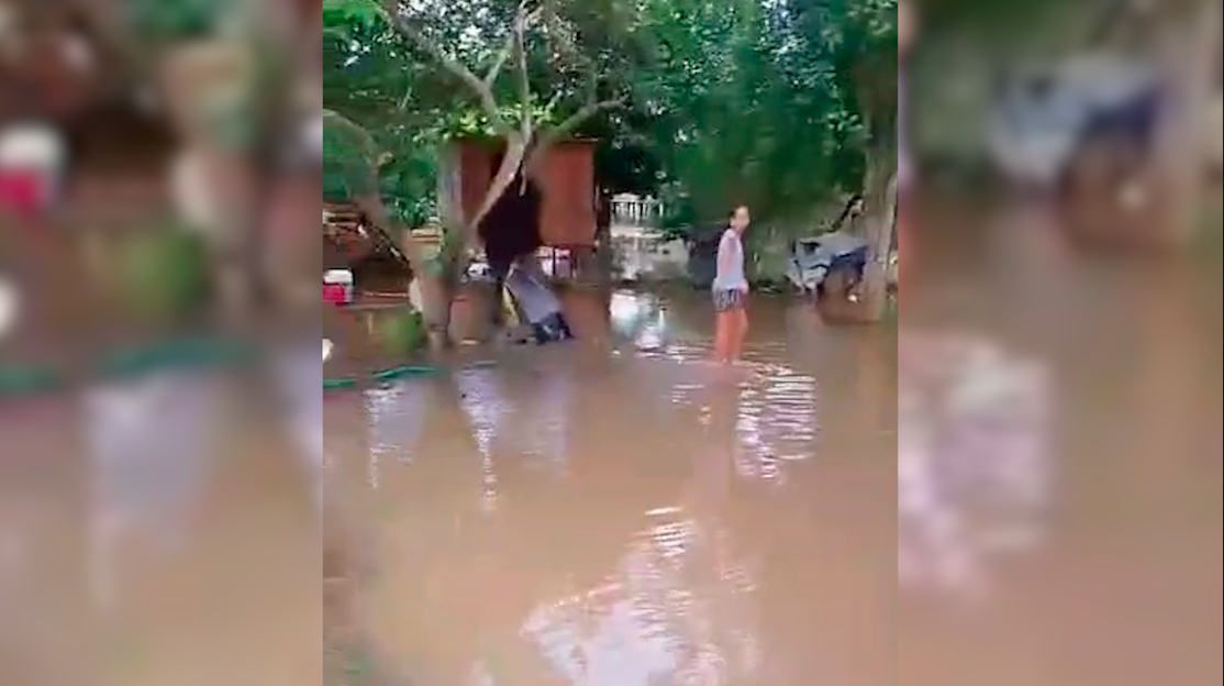 CHEIA DO MADEIRA: Comunidades vizinhas a Nazaré, no Baixo Madeira, pede socorro 