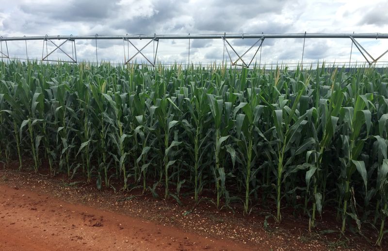 22/23: Setor de defensivos agrícolas antecipa negócios para garantir insumos