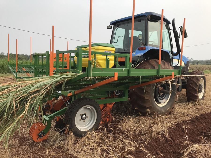 TECNOLOGIA: Inovações chegam à cultura da mandioca e do capim-elefante