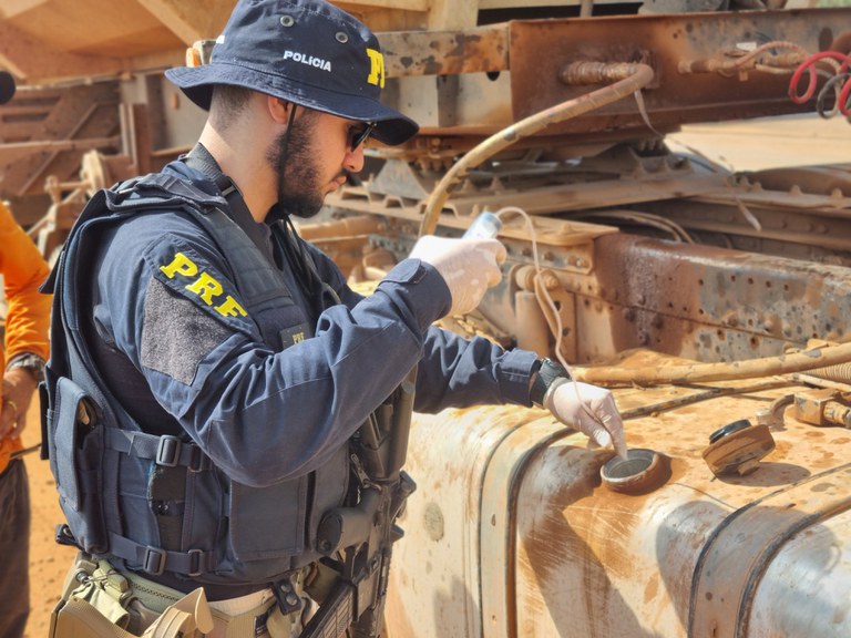 OTECA: PRF finaliza Operação Temática contra Crimes Ambientais