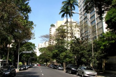  

Polícia acha saco com pernas e braços humanos em bairro nobre