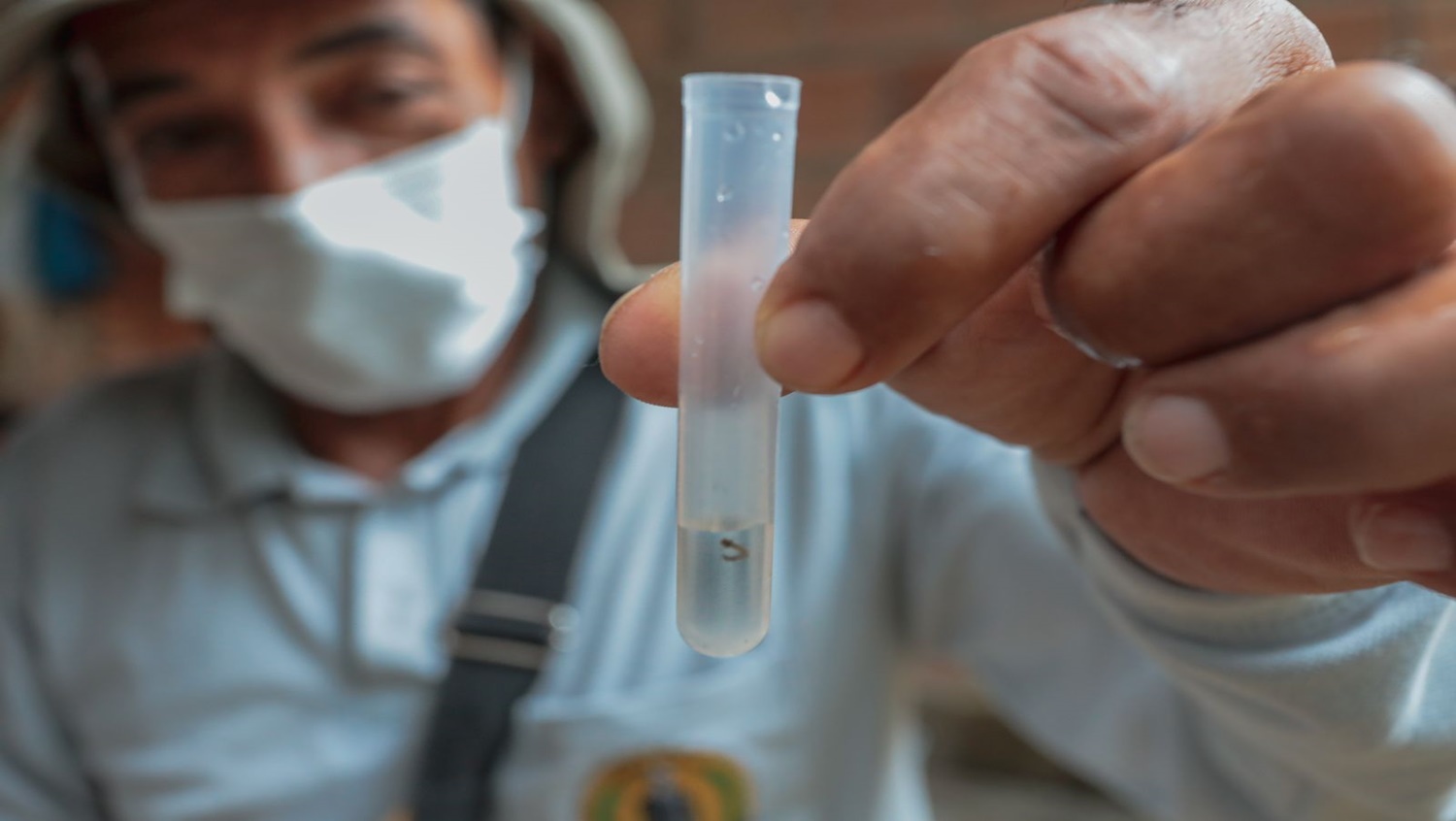 CAPITAL: Agentes de saúde estão visitando bairros à procura do Aedes aegypti