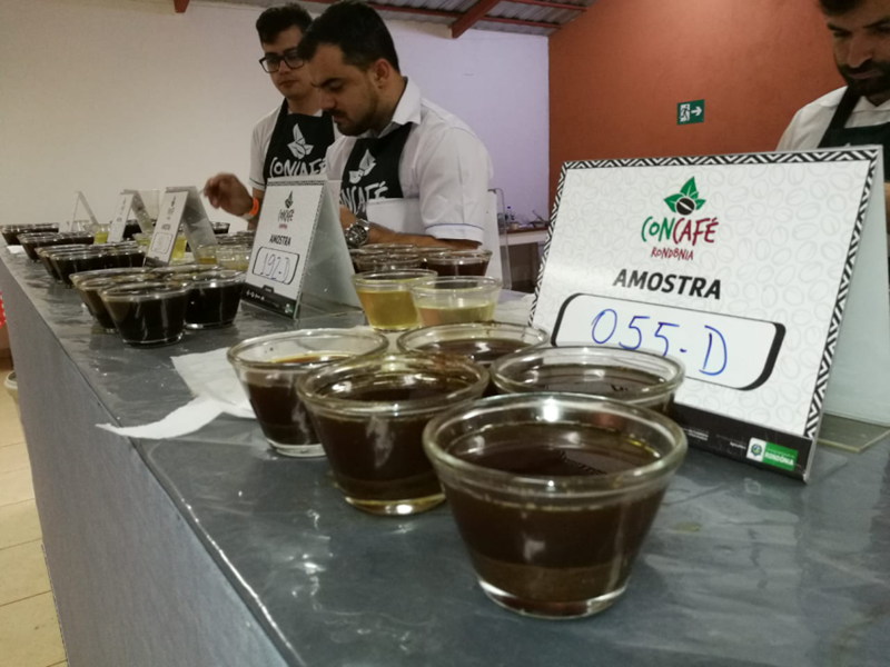 CAFÉ: Extensionista da Emater ROa conquista a 3ª colocação em concurso