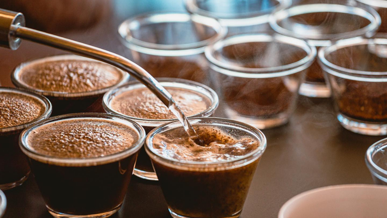 QUERIDO: Brasil tem vários roteiros dedicados aos amantes do café