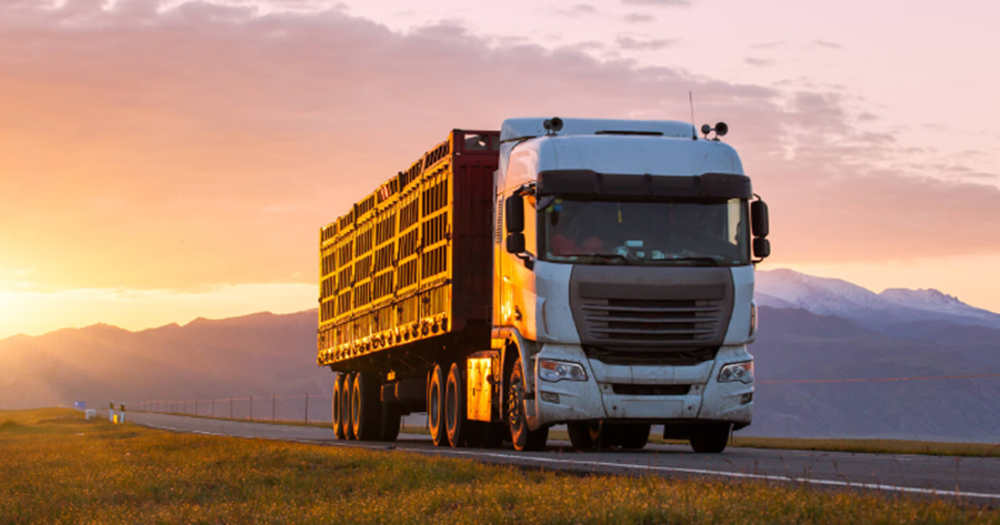 PROGRAMA: Câmara dos Deputados aprova MP para renovação de frota de caminhões