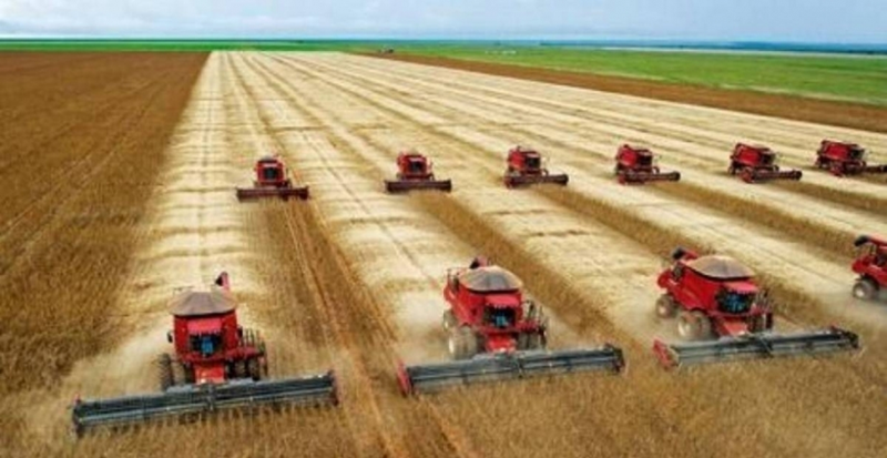 PLANEJAMENTO: Superprodutivo, agronegócio brasileiro pode fazer muito mais