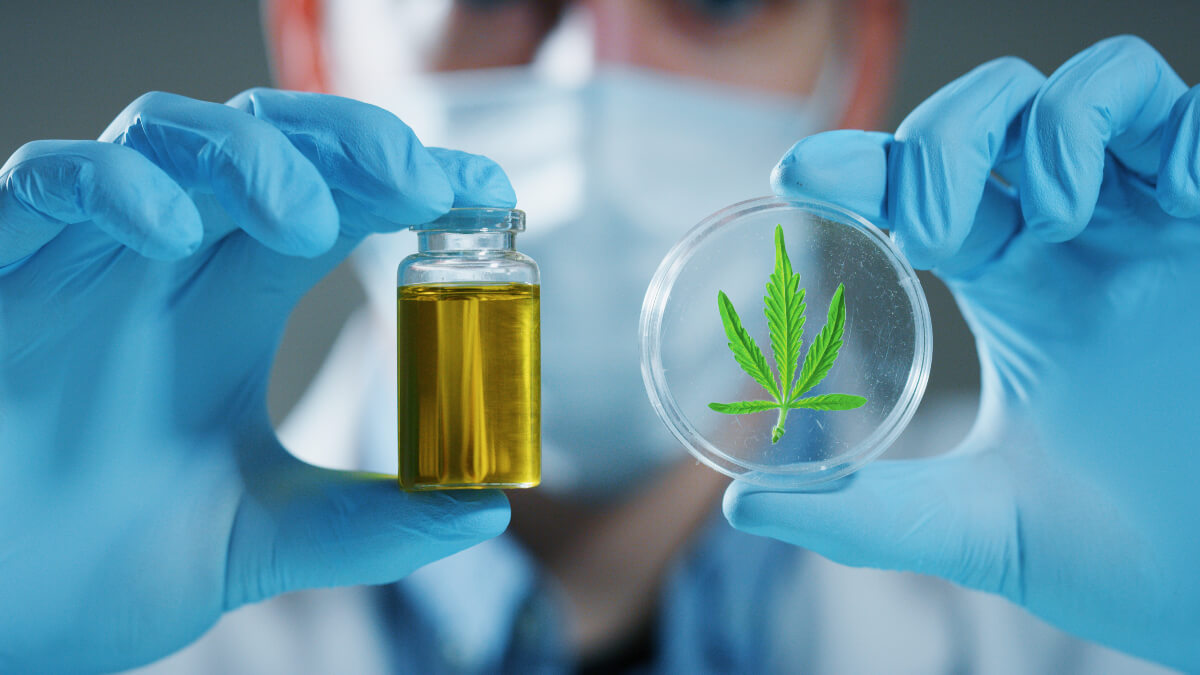 VISÕES: Uso do canabidiol causou divisão entre profissionais da psiquiatria